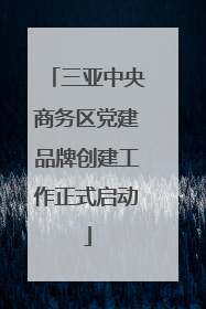 三亚中央商务区党建品牌创建工作正式启动