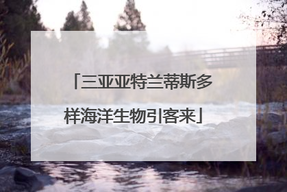 三亚亚特兰蒂斯多样海洋生物引客来