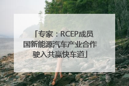 专家：RCEP成员国新能源汽车产业合作驶入共赢快车道
