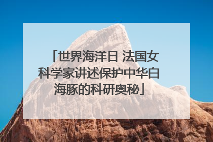 世界海洋日 法国女科学家讲述保护中华白海豚的科研奥秘