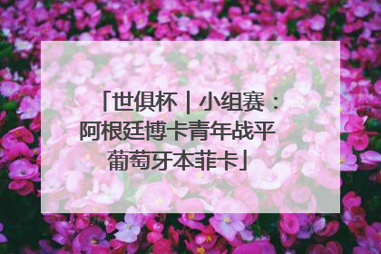 世俱杯｜小组赛：阿根廷博卡青年战平葡萄牙本菲卡