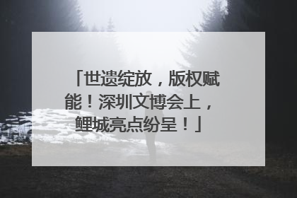 世遗绽放，版权赋能！深圳文博会上，鲤城亮点纷呈！