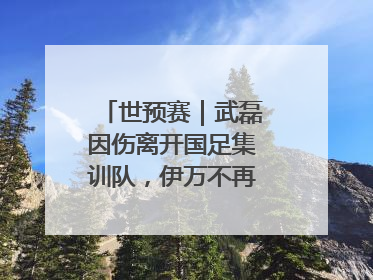 世预赛｜武磊因伤离开国足集训队，伊万不再补招顶替球员