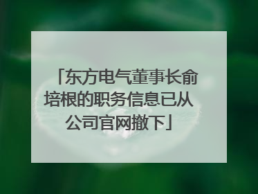 东方电气董事长俞培根的职务信息已从公司官网撤下