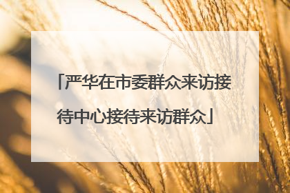 严华在市委群众来访接待中心接待来访群众