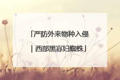严防外来物种入侵｜西部黑寡妇蜘蛛