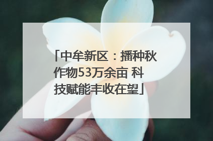 中牟新区：播种秋作物53万余亩 科技赋能丰收在望