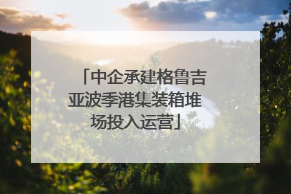 中企承建格鲁吉亚波季港集装箱堆场投入运营