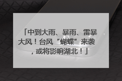 中到大雨、暴雨、雷暴大风！台风“蝴蝶”来袭，或将影响湖北！