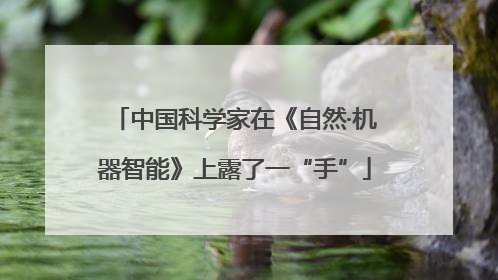 中国科学家在《自然·机器智能》上露了一“手”