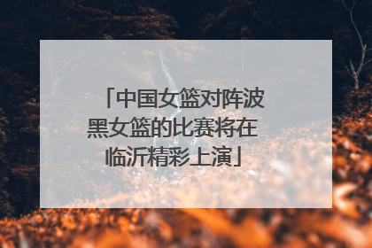 中国女篮对阵波黑女篮的比赛将在临沂精彩上演