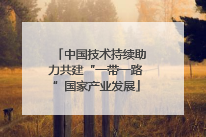中国技术持续助力共建“一带一路”国家产业发展