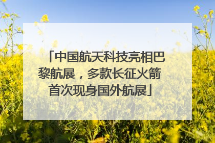 中国航天科技亮相巴黎航展，多款长征火箭首次现身国外航展