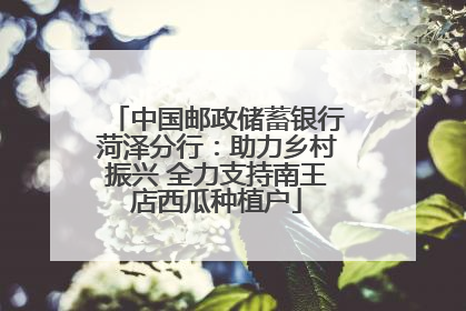 中国邮政储蓄银行菏泽分行：助力乡村振兴 全力支持南王店西瓜种植户