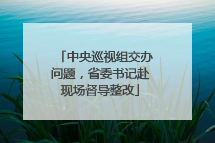 中央巡视组交办问题，省委书记赴现场督导整改