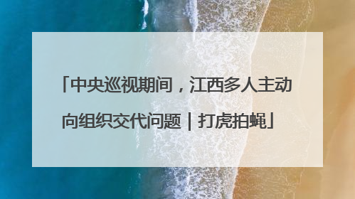 中央巡视期间，江西多人主动向组织交代问题｜打虎拍蝇