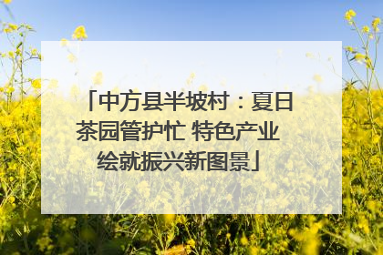 中方县半坡村：夏日茶园管护忙 特色产业绘就振兴新图景