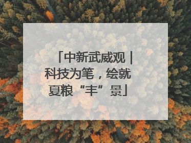 中新武威观｜科技为笔，绘就夏粮“丰”景