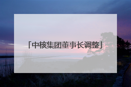 中核集团董事长调整