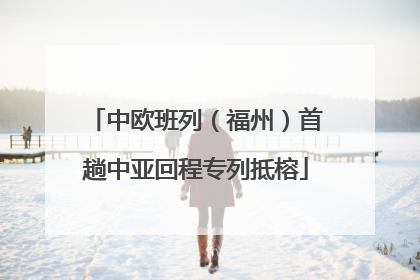中欧班列（福州）首趟中亚回程专列抵榕