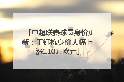 中超联赛球员身价更新：王钰栋身价大幅上涨110万欧元