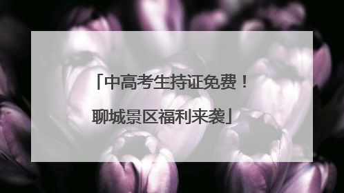 中高考生持证免费！聊城景区福利来袭