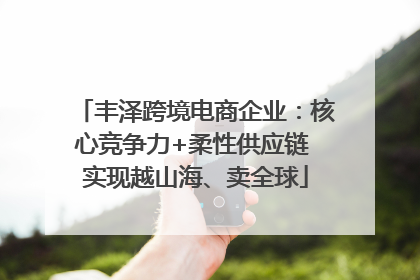 丰泽跨境电商企业：核心竞争力+柔性供应链 实现越山海、卖全球