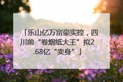 乐山亿万富豪实控，四川前“卷烟纸大王”拟2.68亿“卖身”