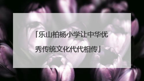 乐山柏杨小学让中华优秀传统文化代代相传
