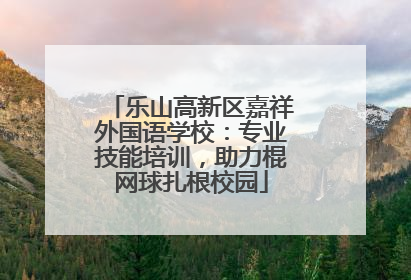 乐山高新区嘉祥外国语学校：专业技能培训，助力棍网球扎根校园