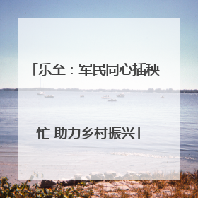 乐至：军民同心插秧忙 助力乡村振兴