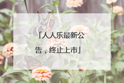 人人乐最新公告，终止上市