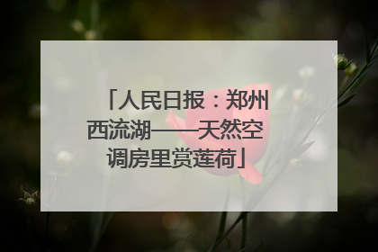 人民日报：郑州西流湖——天然空调房里赏莲荷