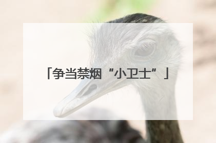 争当禁烟“小卫士”