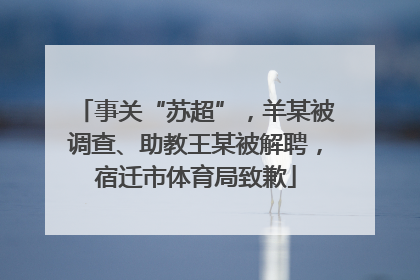 事关“苏超”，羊某被调查、助教王某被解聘，宿迁市体育局致歉
