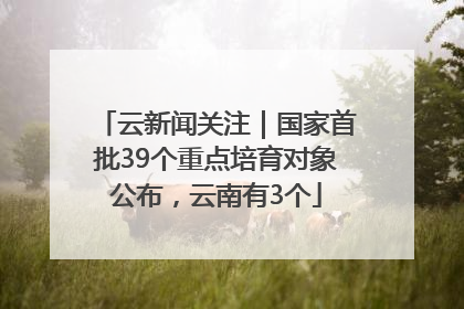 云新闻关注｜国家首批39个重点培育对象公布，云南有3个