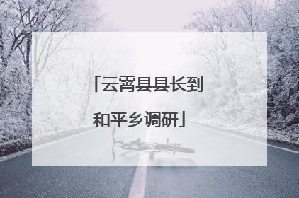 云霄县县长到和平乡调研