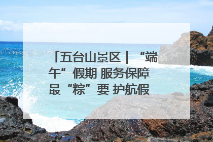 五台山景区｜“端午”假期 服务保障最“粽”要 护航假期“不打烊”