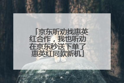 京东听劝找惠英红合作，我也听劝在京东秒送下单了惠英红同款新机
