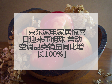 京东家电家居惊喜日迎来董明珠 带动空调品类销量同比增长100%