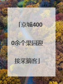 京城4000余个果园迎接采摘客