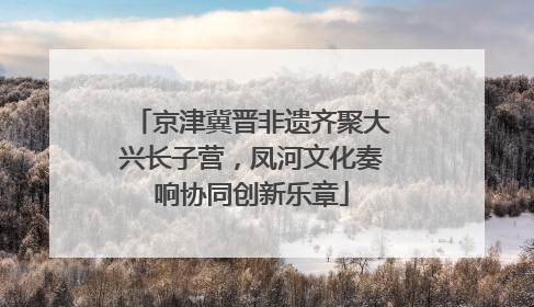 京津冀晋非遗齐聚大兴长子营，凤河文化奏响协同创新乐章