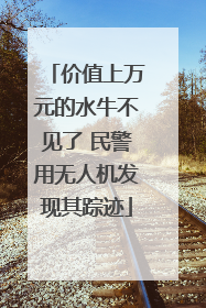 价值上万元的水牛不见了 民警用无人机发现其踪迹