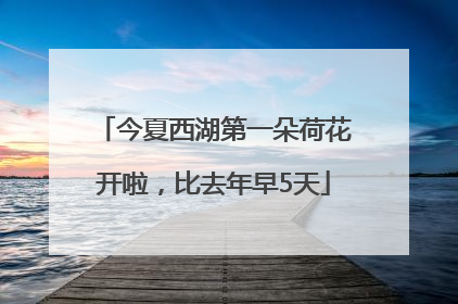 今夏西湖第一朵荷花开啦，比去年早5天
