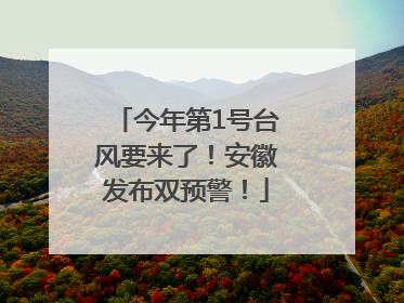 今年第1号台风要来了！安徽发布双预警！