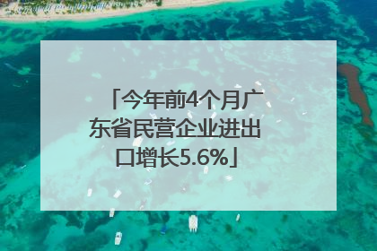 今年前4个月广东省民营企业进出口增长5.6%