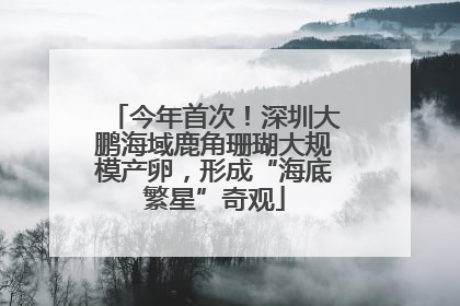 今年首次！深圳大鹏海域鹿角珊瑚大规模产卵，形成“海底繁星”奇观