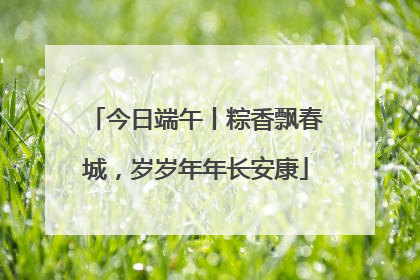 今日端午丨粽香飘春城，岁岁年年长安康