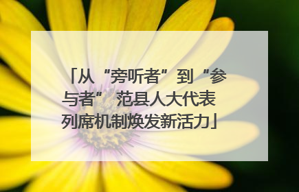 从“旁听者”到“参与者” 范县人大代表列席机制焕发新活力