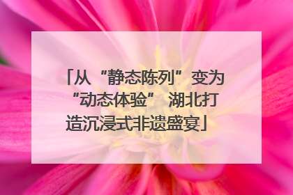 从“静态陈列”变为“动态体验” 湖北打造沉浸式非遗盛宴
